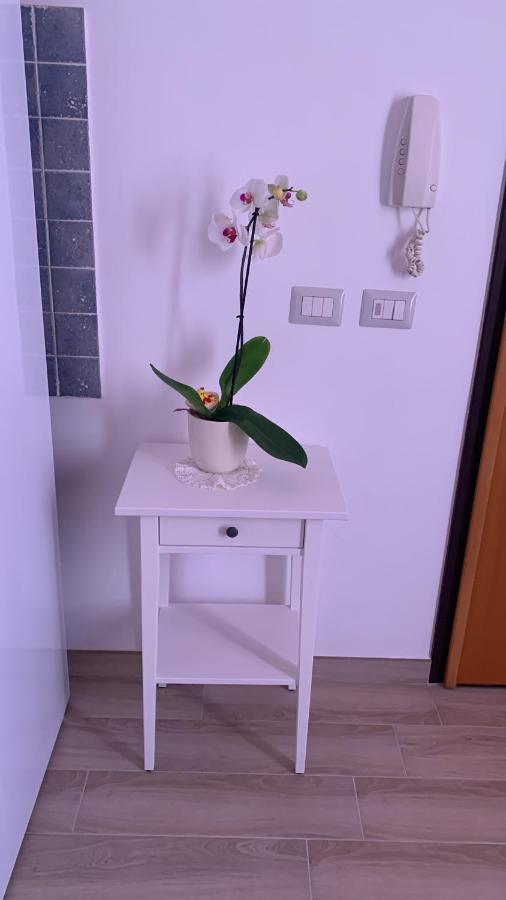 Holidays Apartment 卡利亚里 外观 照片